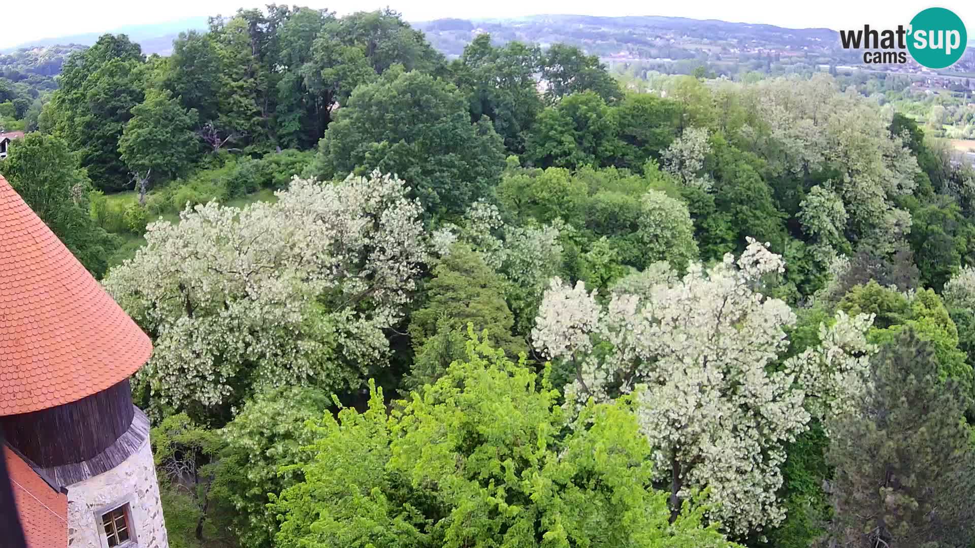 Webcam Castillo Dubovac Karlovac – Vista en directo del histórico castillo