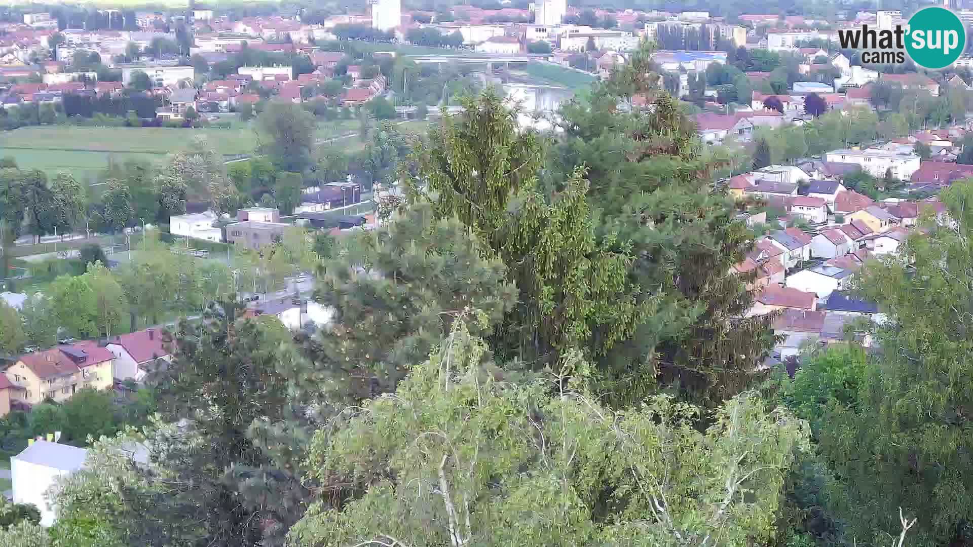 Webcam Castello Dubovac Karlovac – Vista Live sul Castello Storico