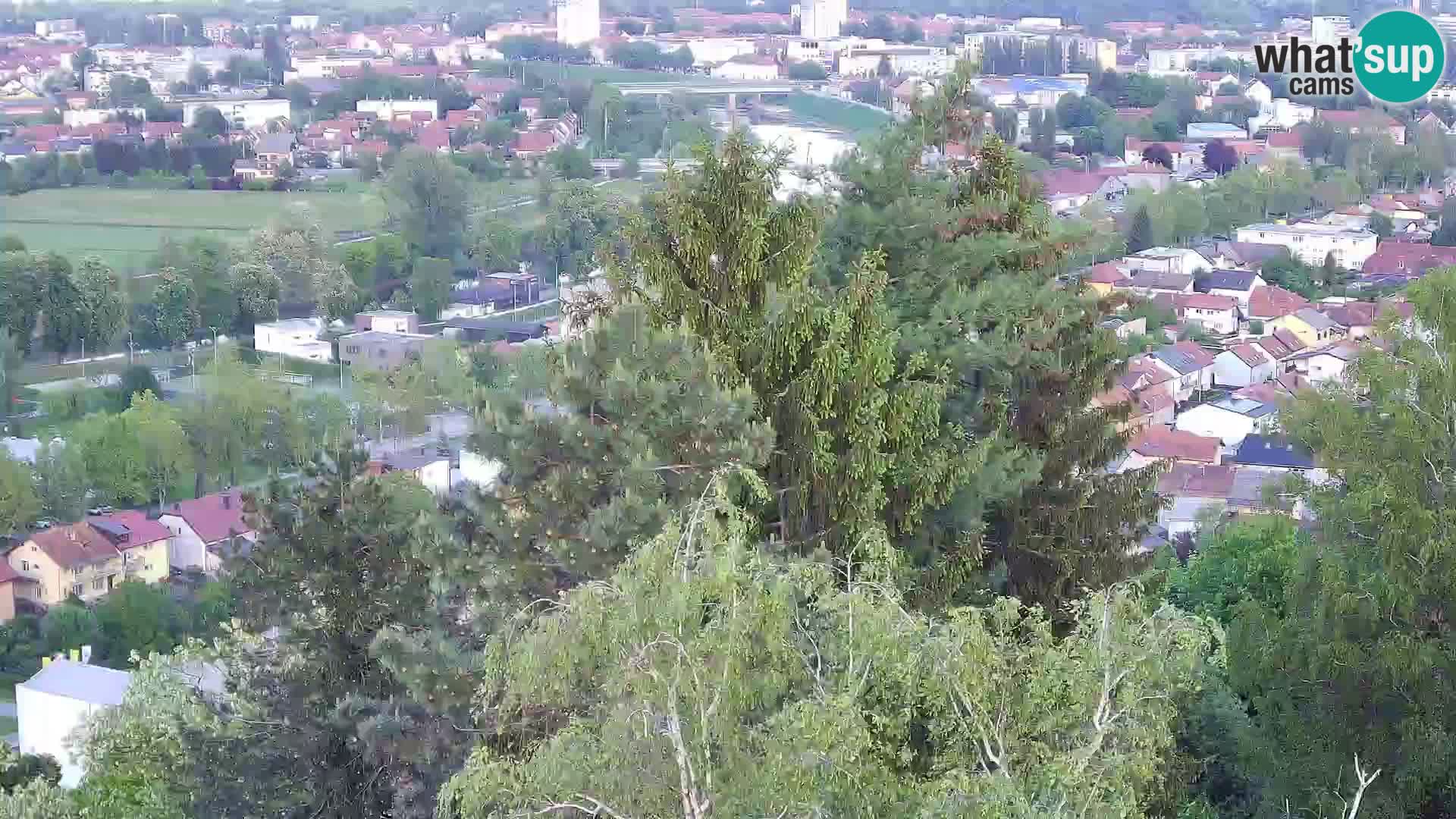 Webcam Karlovac Dubovac Castle – Live View of Karlovac’s Historic Landmark