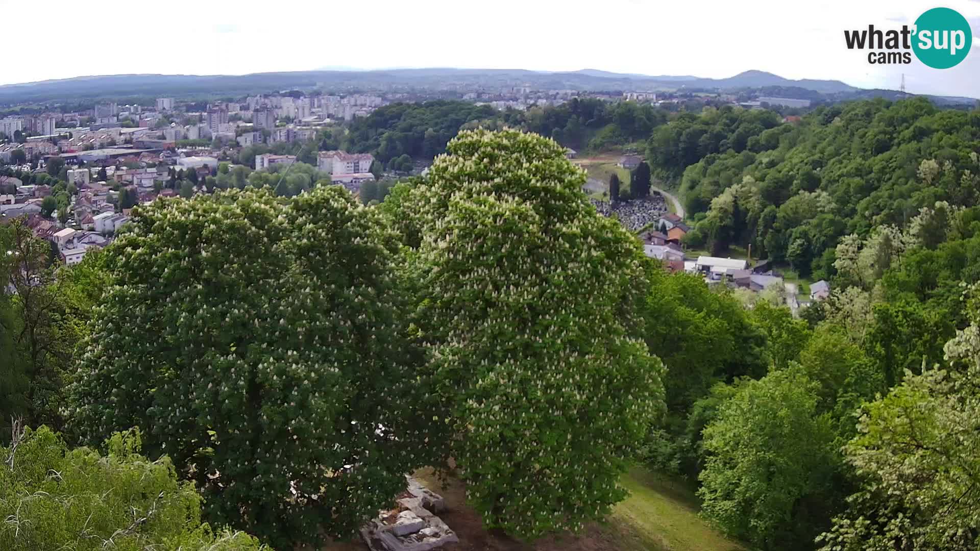 Webcam Karlovac Dubovac Castle – Live View of Karlovac’s Historic Landmark