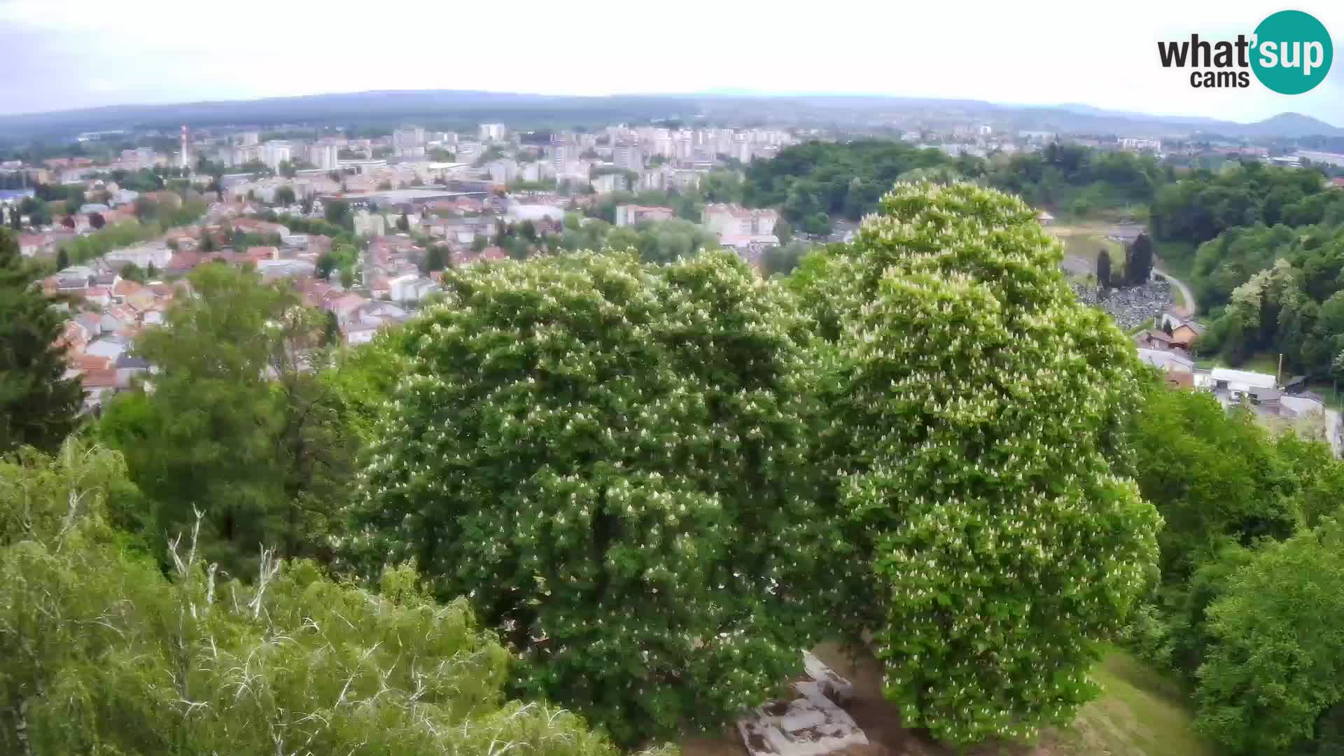 Webcam Karlstadt Burg Dubovac – Liveblick auf das historische Wahrzeichen