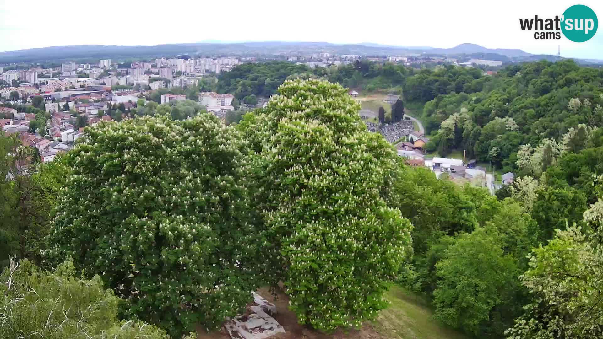 Webcam Karlovac Château Dubovac – Vue en direct de ce monument historique