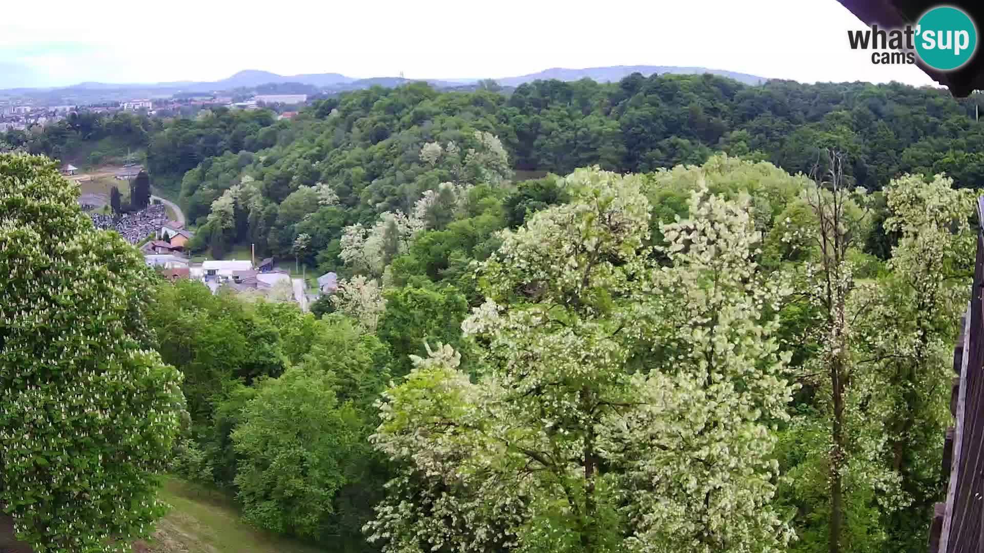 Web kamera Karlovac – Dvorac Dubovac uživo