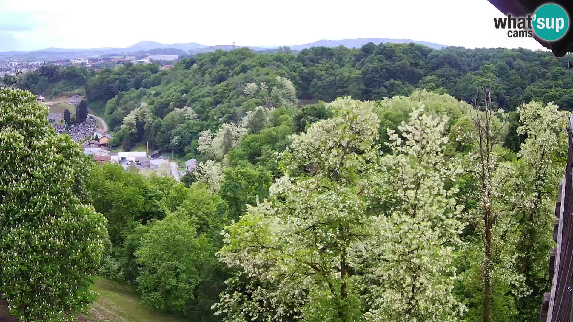 Webcam Karlovac Dubovac Castle – Live View of Karlovac’s Historic Landmark
