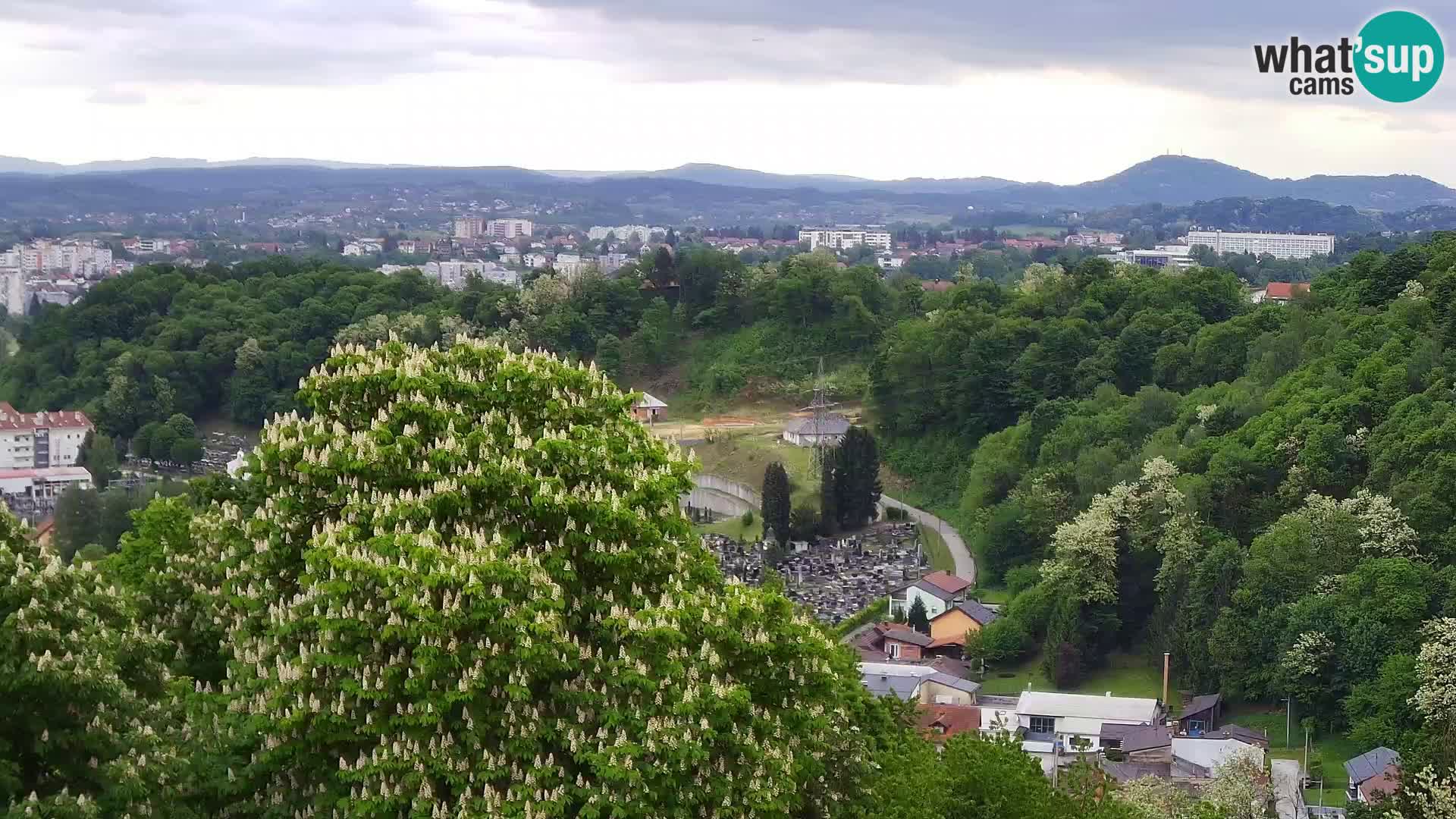 Webcam Karlstadt Burg Dubovac – Liveblick auf das historische Wahrzeichen