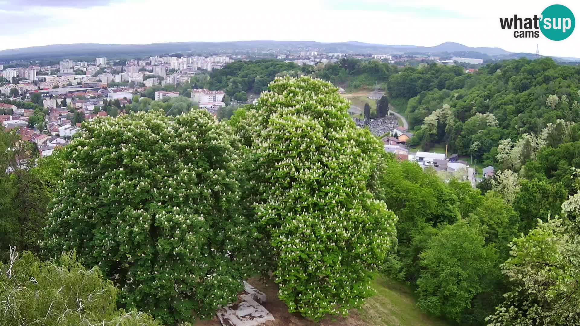Webcam Karlovac Dubovac Castle – Live View of Karlovac’s Historic Landmark