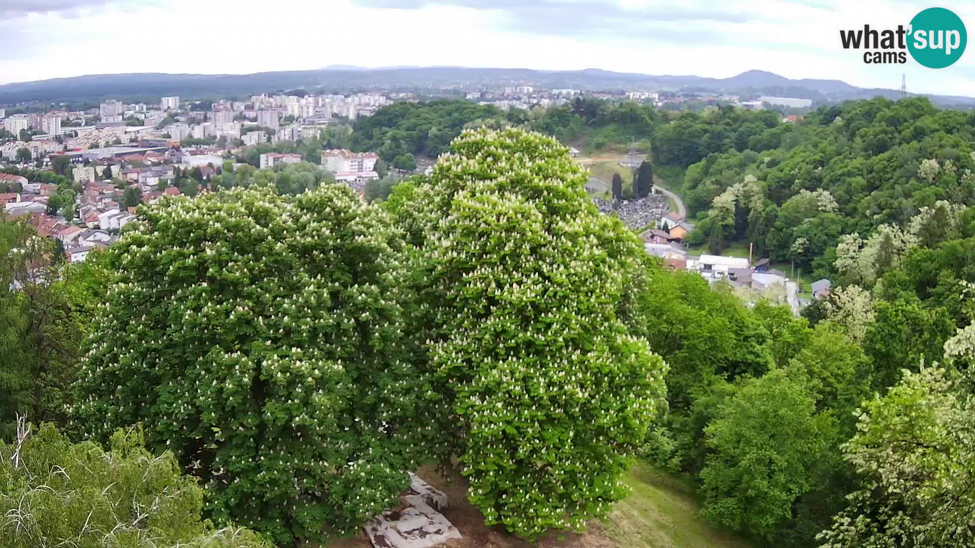 Webcam Karlstadt Burg Dubovac – Liveblick auf das historische Wahrzeichen