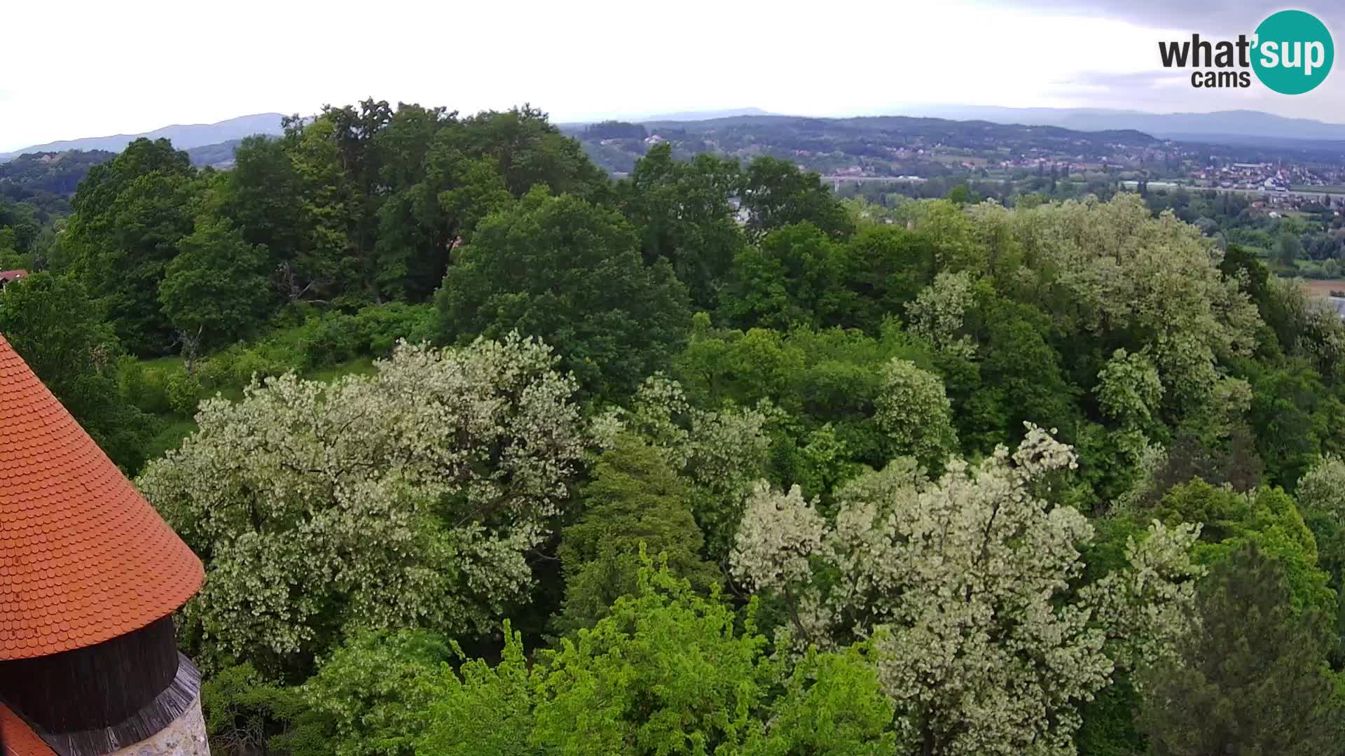 Spletna kamera Karlovac Dubovac grad – Pogled v živo na zgodovinsko znamenitost Karlovca