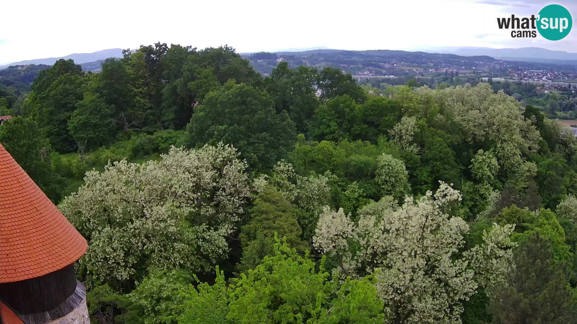 Webcam Karlovac Dubovac Castle – Live View of Karlovac’s Historic Landmark
