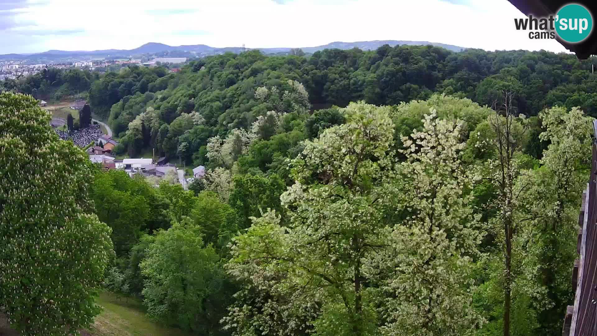 Webcam Karlstadt Burg Dubovac – Liveblick auf das historische Wahrzeichen