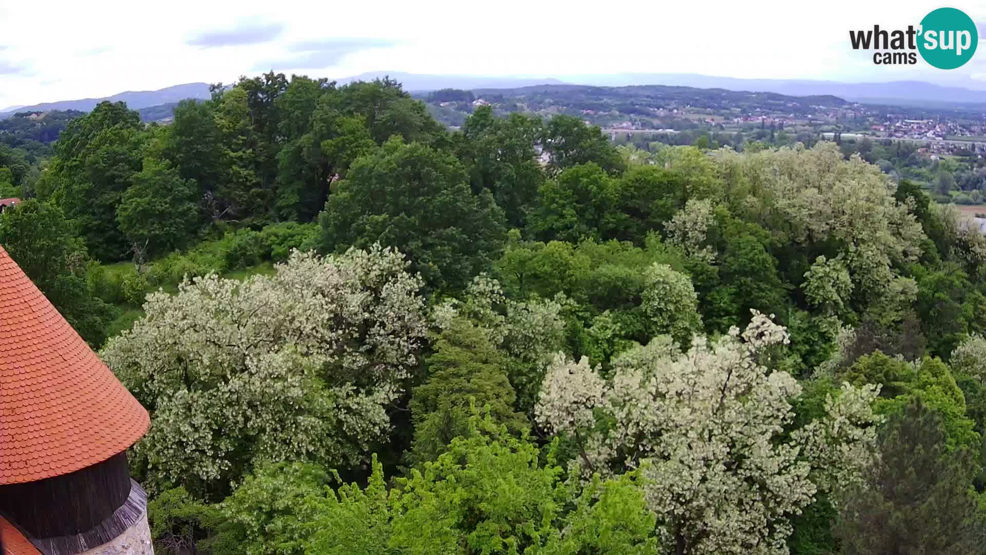 Webcam Castillo Dubovac Karlovac – Vista en directo del histórico castillo