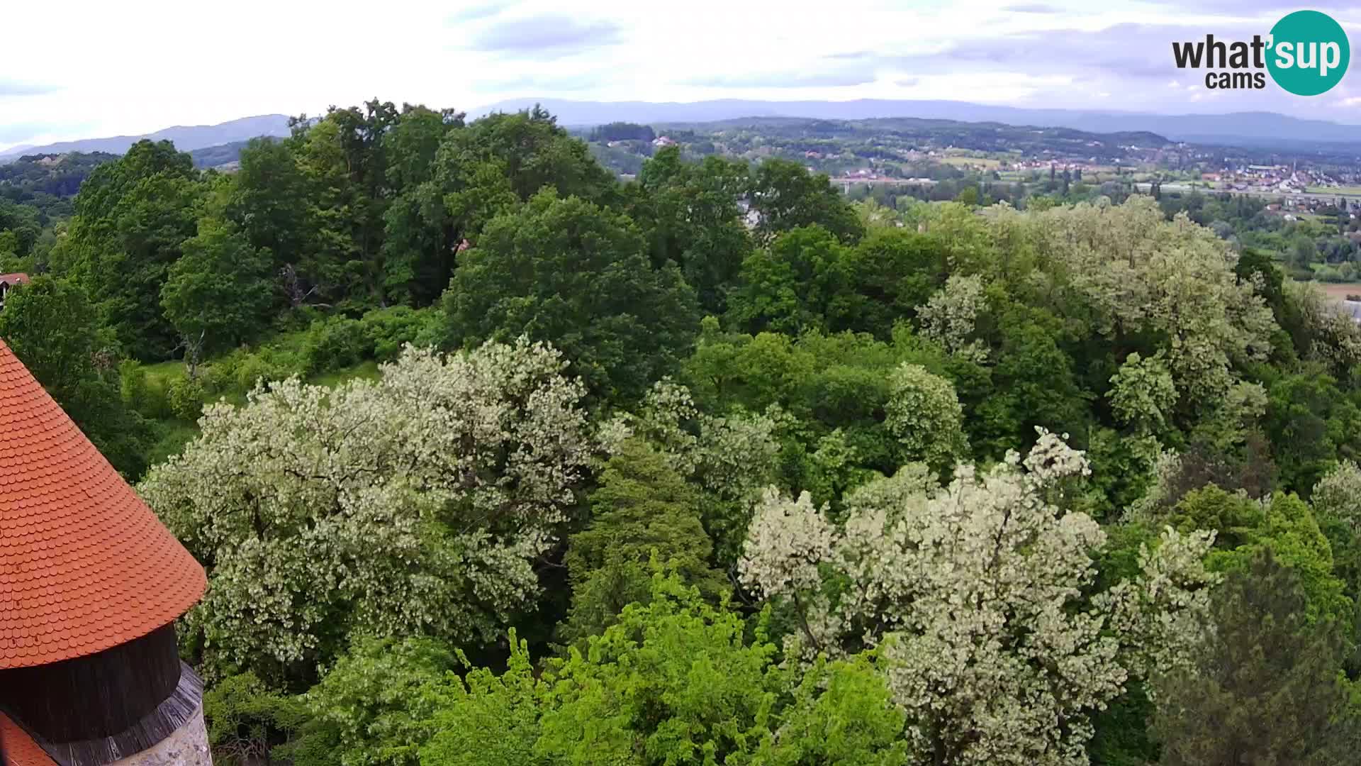 Web kamera Karlovac – Dvorac Dubovac uživo