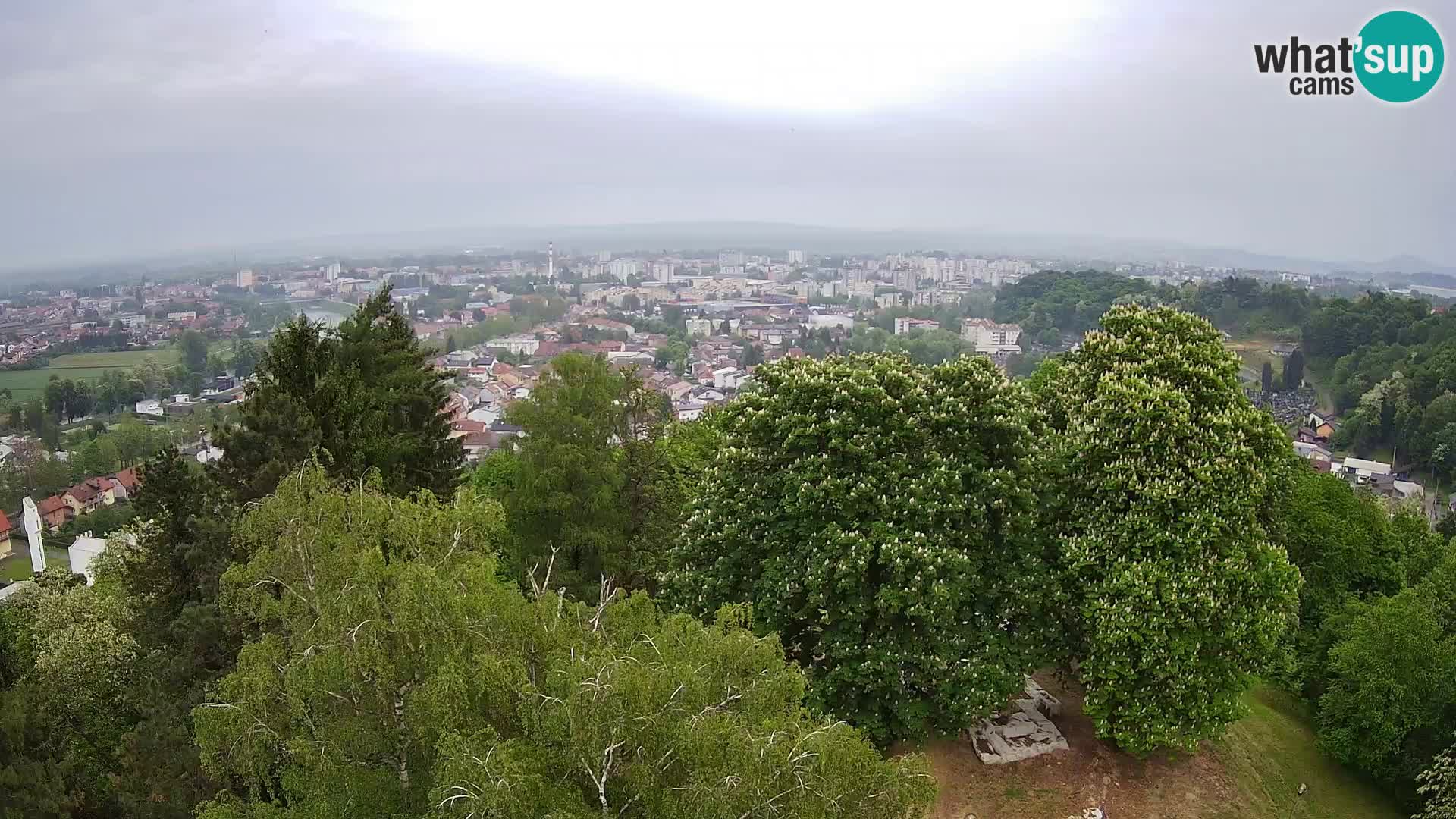 Webcam Karlstadt Burg Dubovac – Liveblick auf das historische Wahrzeichen