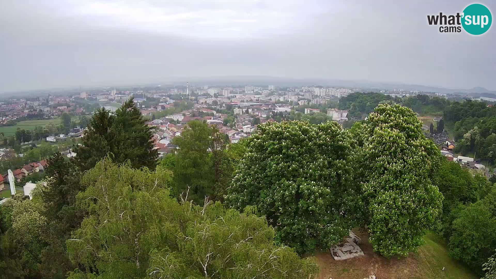 Webcam Castello Dubovac Karlovac – Vista Live sul Castello Storico