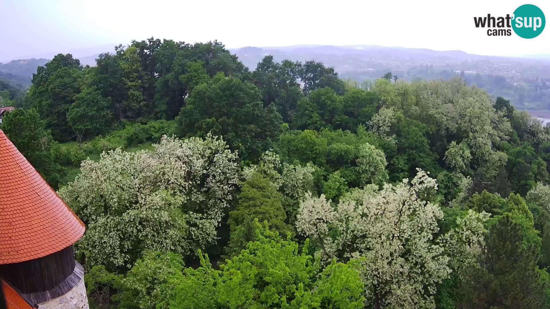 Web kamera Karlovac – Dvorac Dubovac uživo