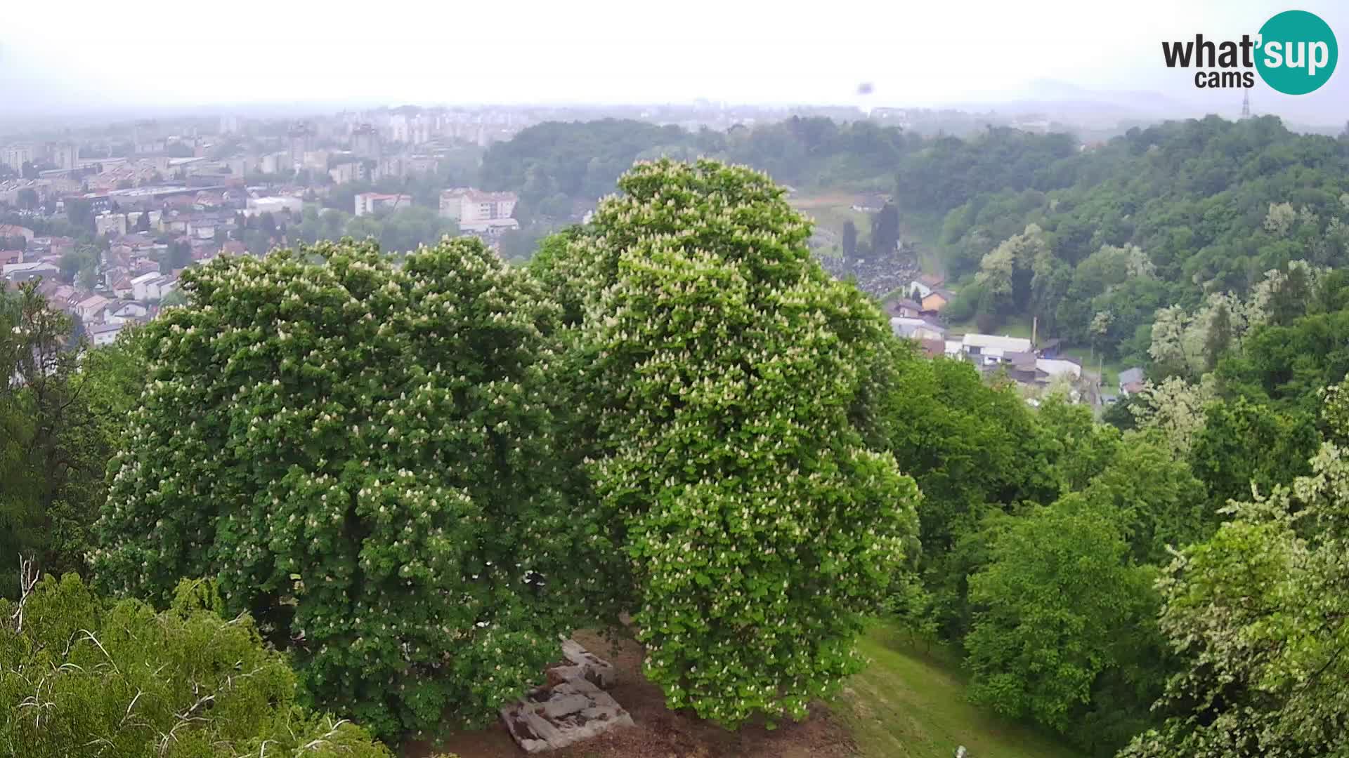 Webcam Castello Dubovac Karlovac – Vista Live sul Castello Storico