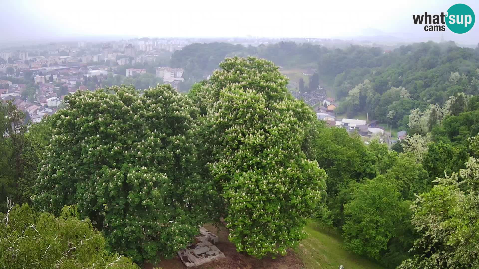 Webcam Karlstadt Burg Dubovac – Liveblick auf das historische Wahrzeichen