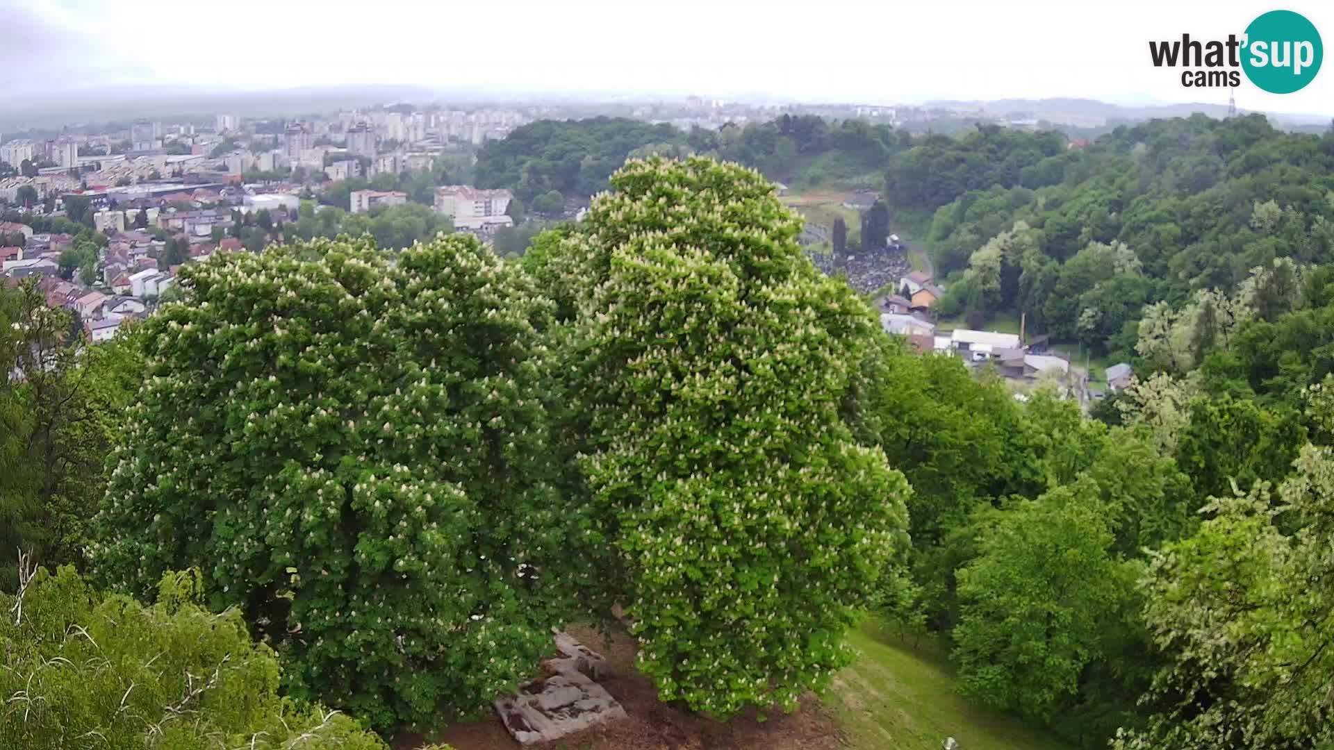 Webcam Karlovac Château Dubovac – Vue en direct de ce monument historique