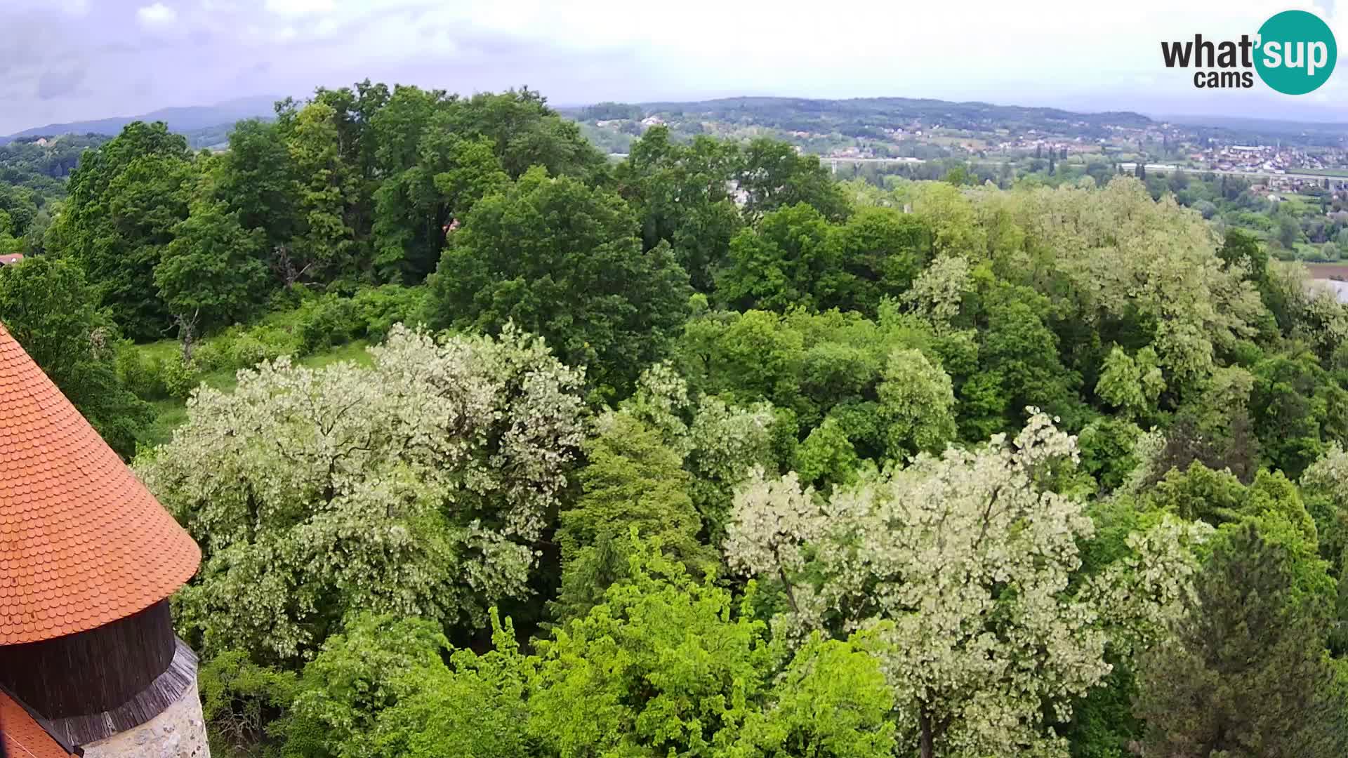 Webcam Karlovac Dubovac Castle – Live View of Karlovac’s Historic Landmark