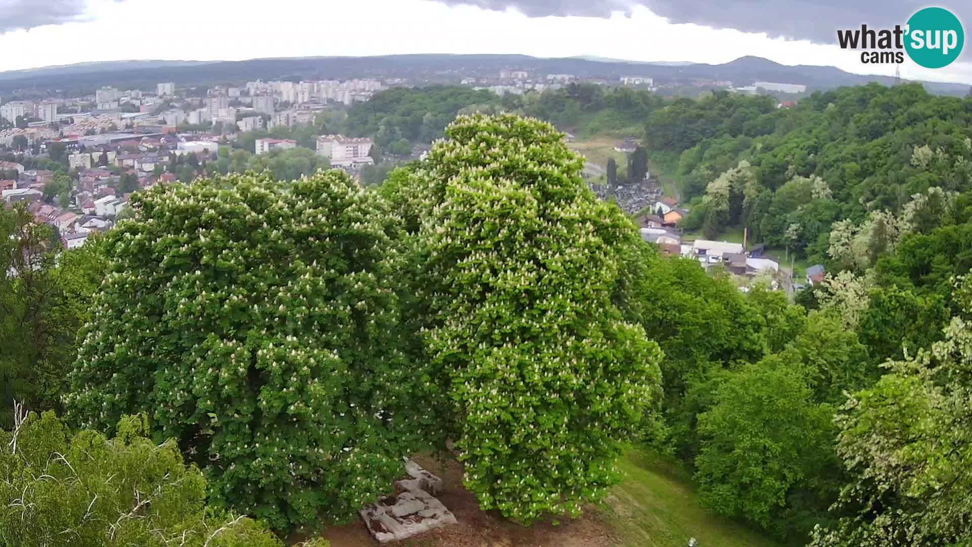 Web kamera Karlovac – Dvorac Dubovac uživo