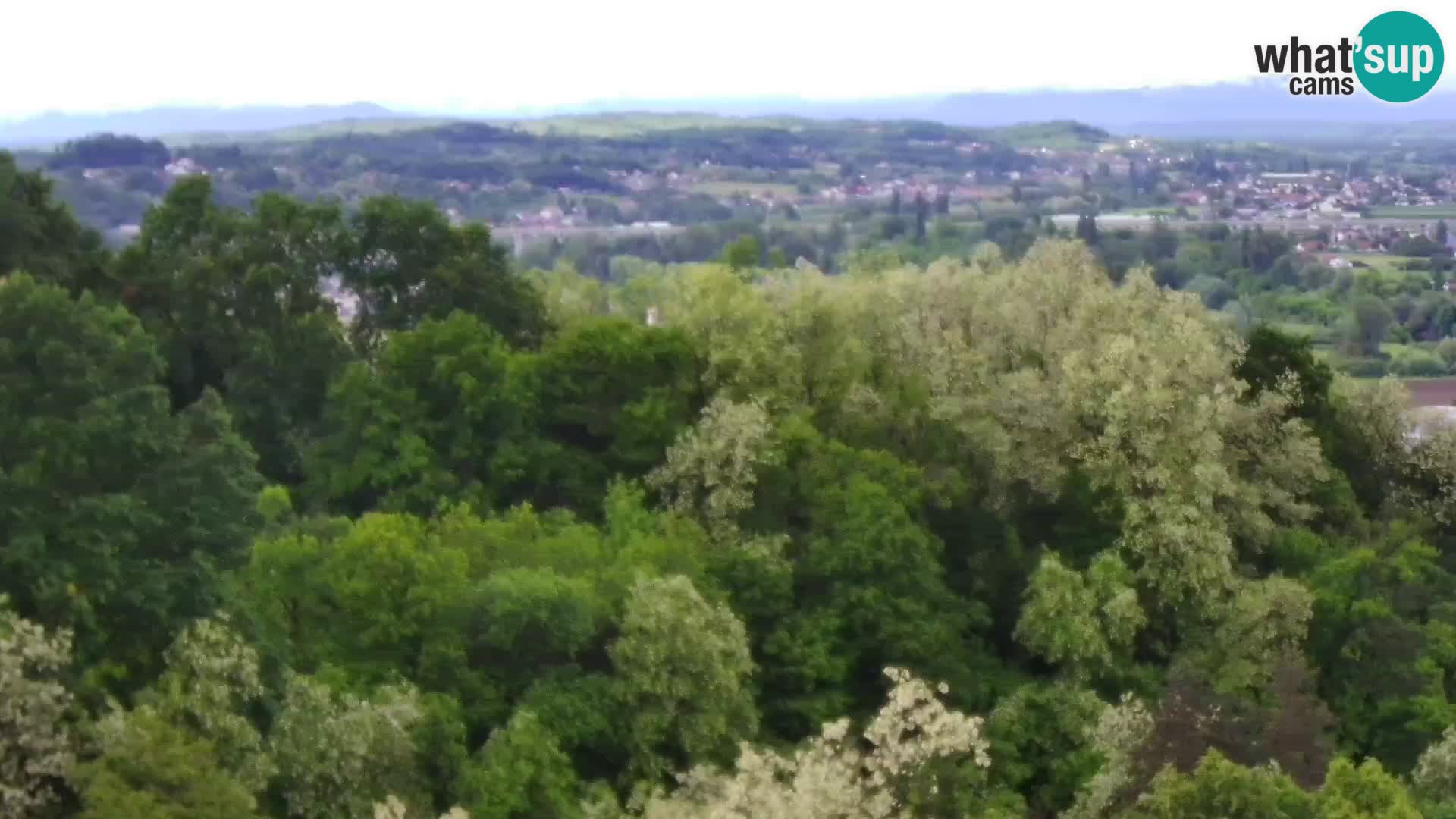 Webcam Karlstadt Burg Dubovac – Liveblick auf das historische Wahrzeichen