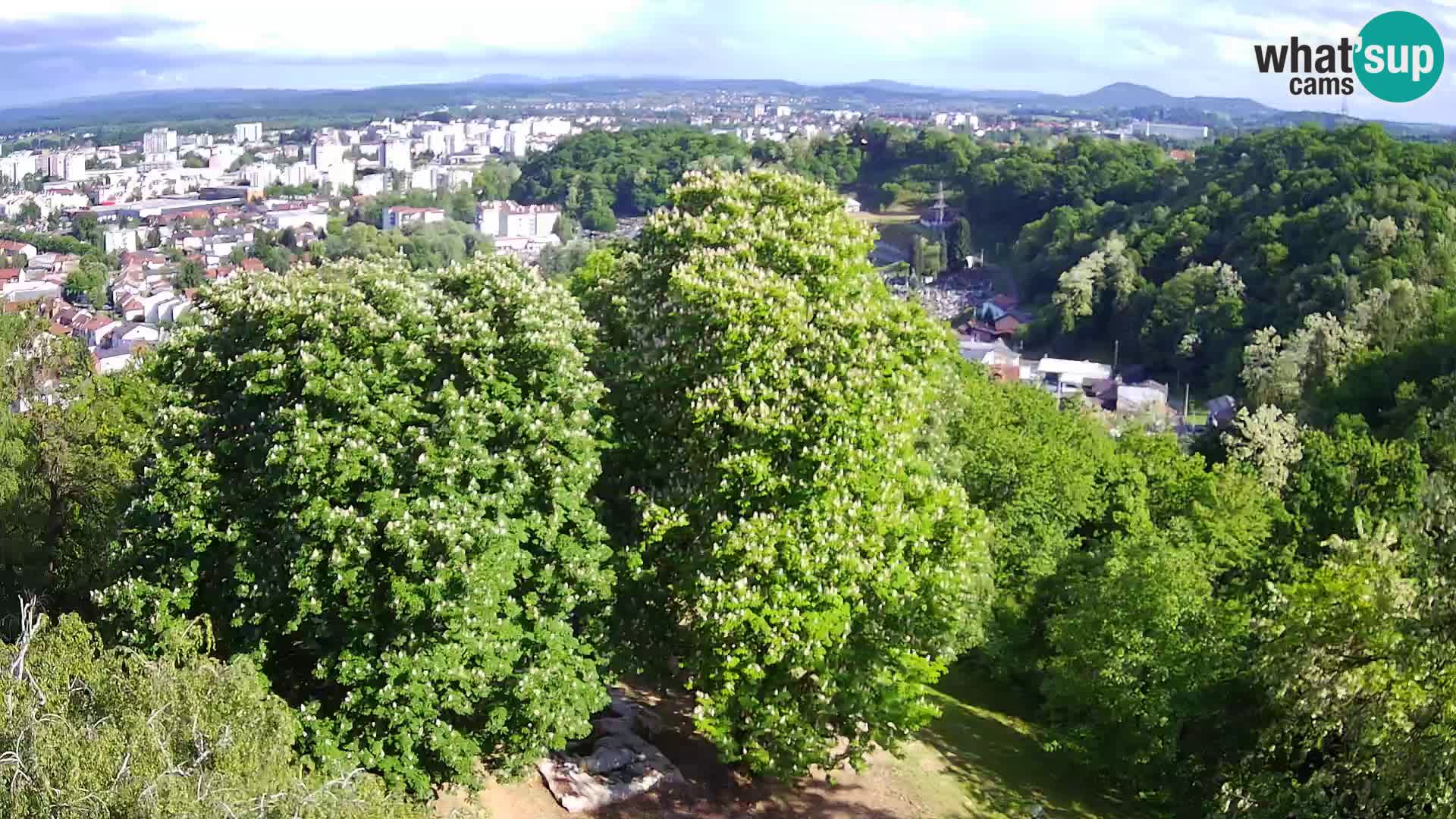 Webcam Karlstadt Burg Dubovac – Liveblick auf das historische Wahrzeichen