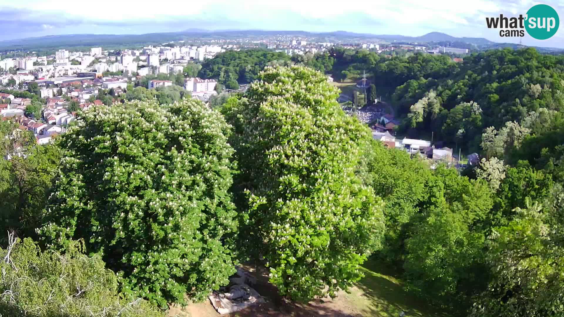 Webcam Karlovac Château Dubovac – Vue en direct de ce monument historique