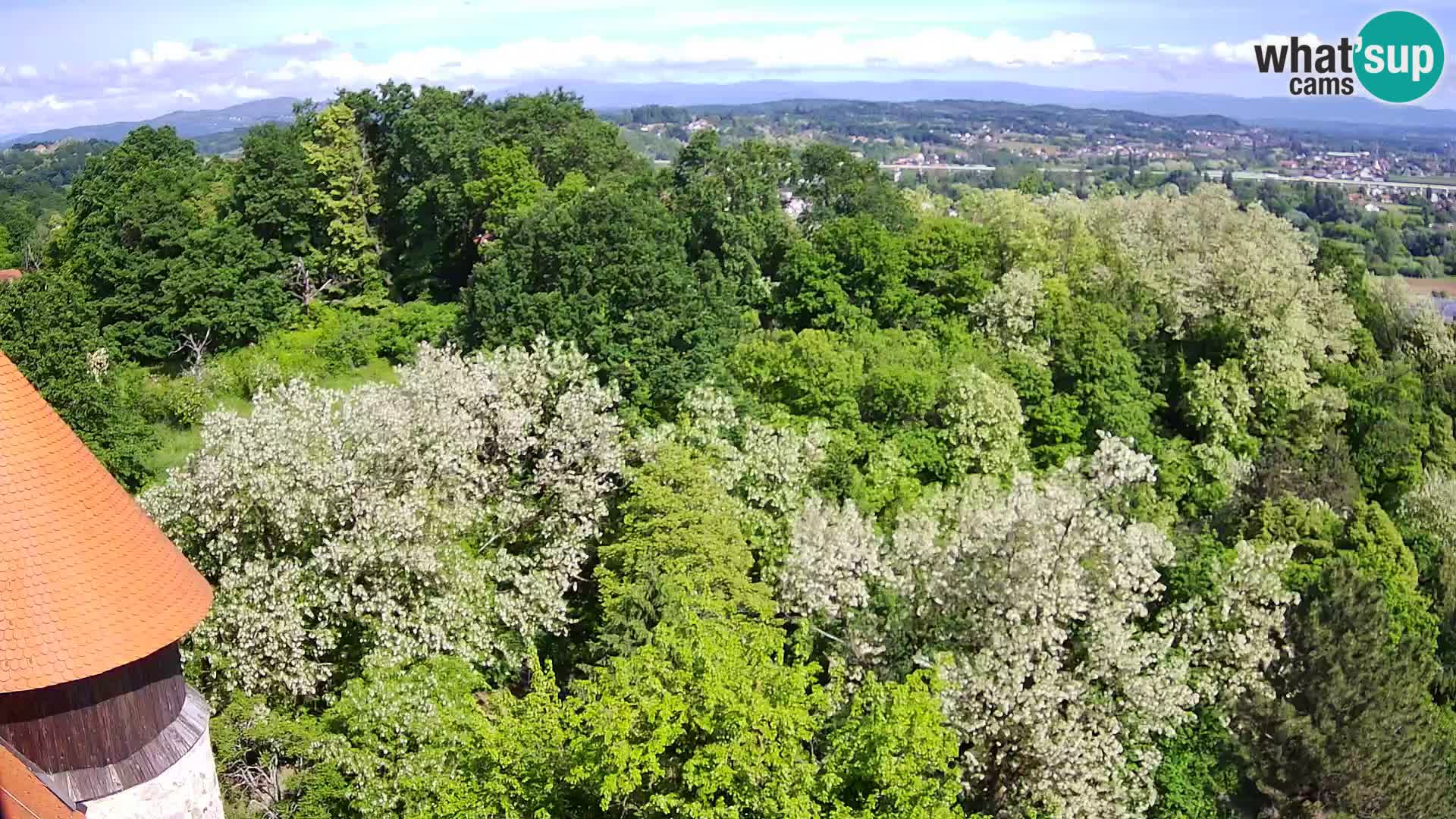 Webcam Castello Dubovac Karlovac – Vista Live sul Castello Storico