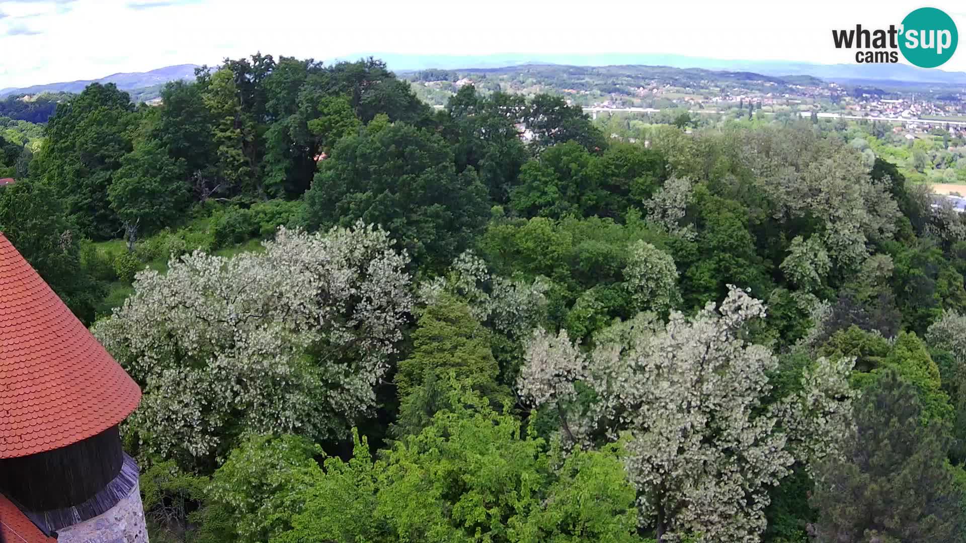 Web kamera Karlovac – Dvorac Dubovac uživo