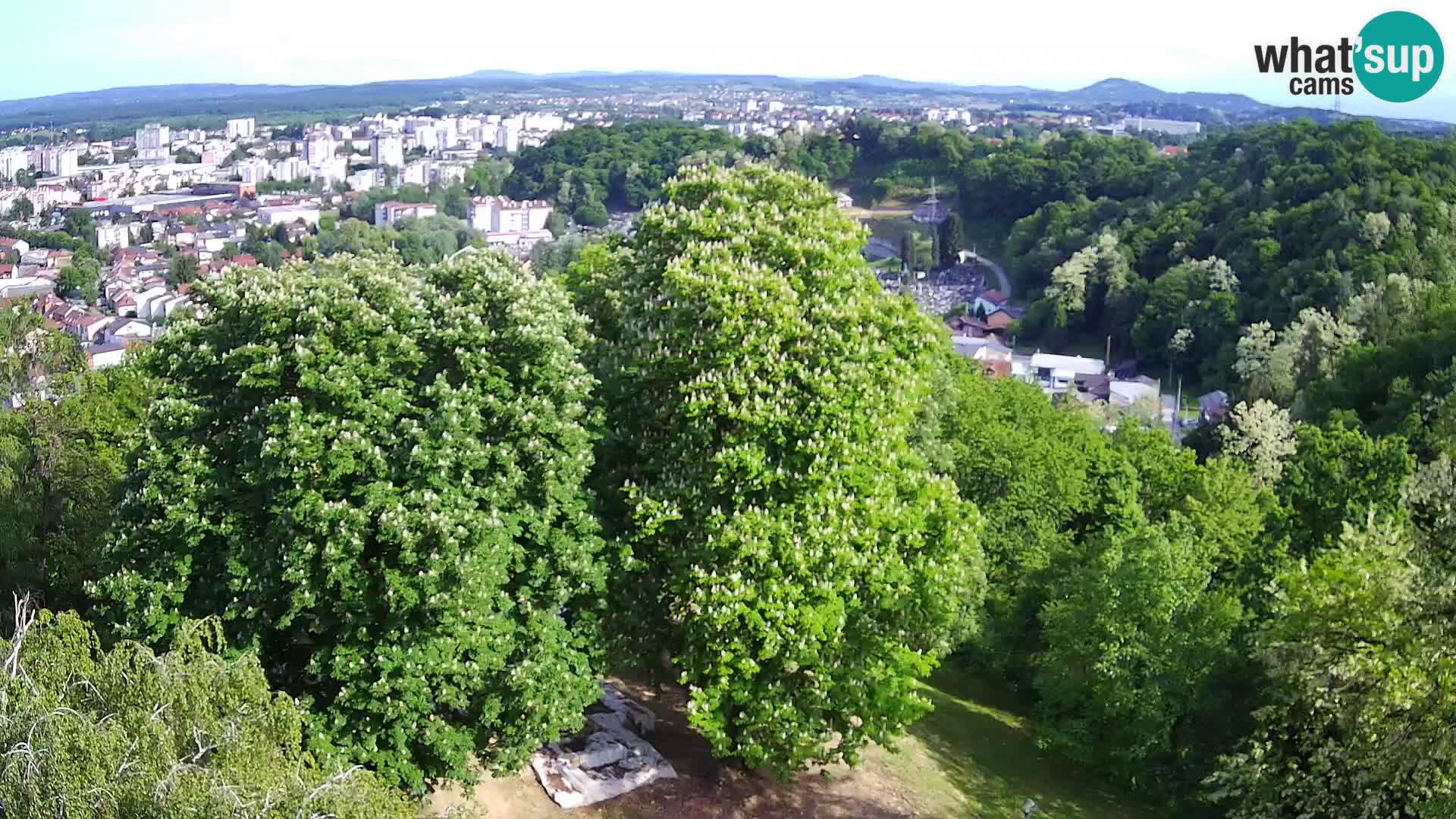 Webcam Karlovac Château Dubovac – Vue en direct de ce monument historique