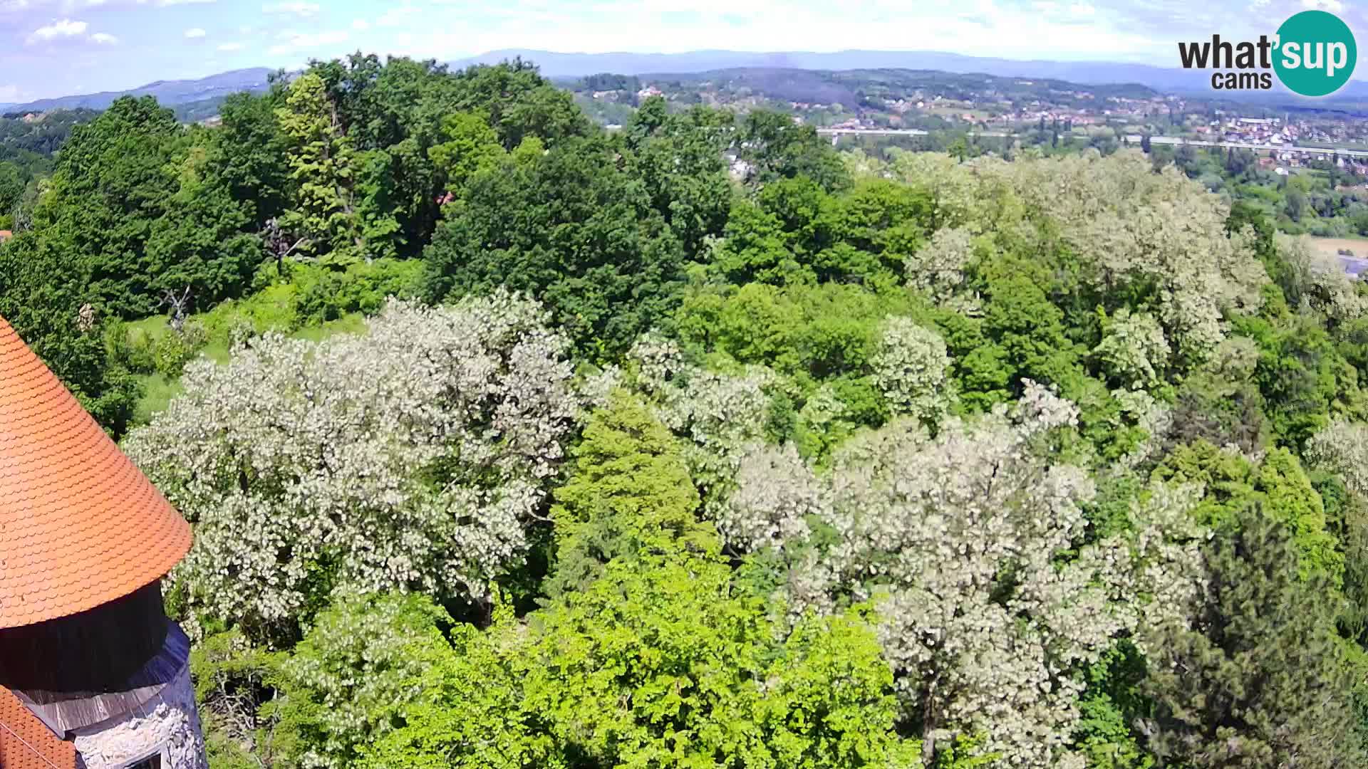 Webcam Karlstadt Burg Dubovac – Liveblick auf das historische Wahrzeichen