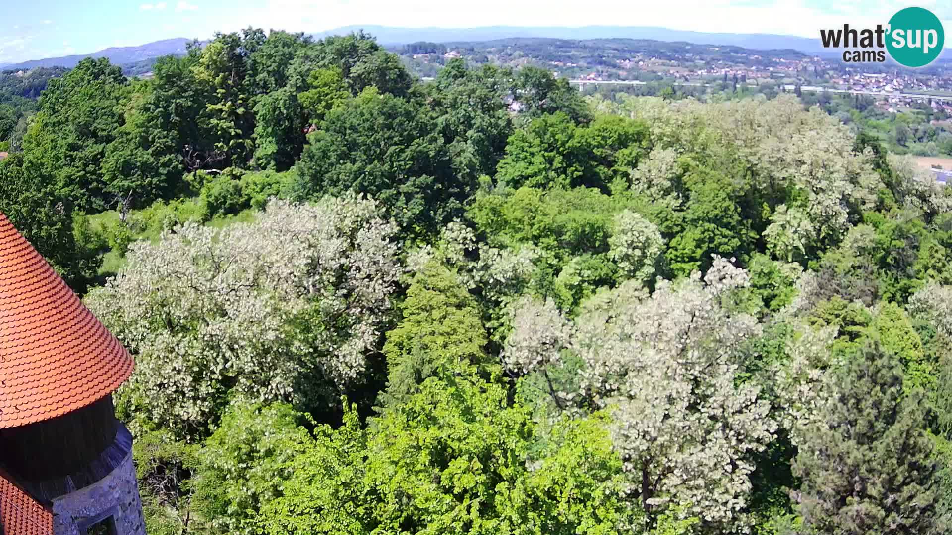 Spletna kamera Karlovac Dubovac grad – Pogled v živo na zgodovinsko znamenitost Karlovca