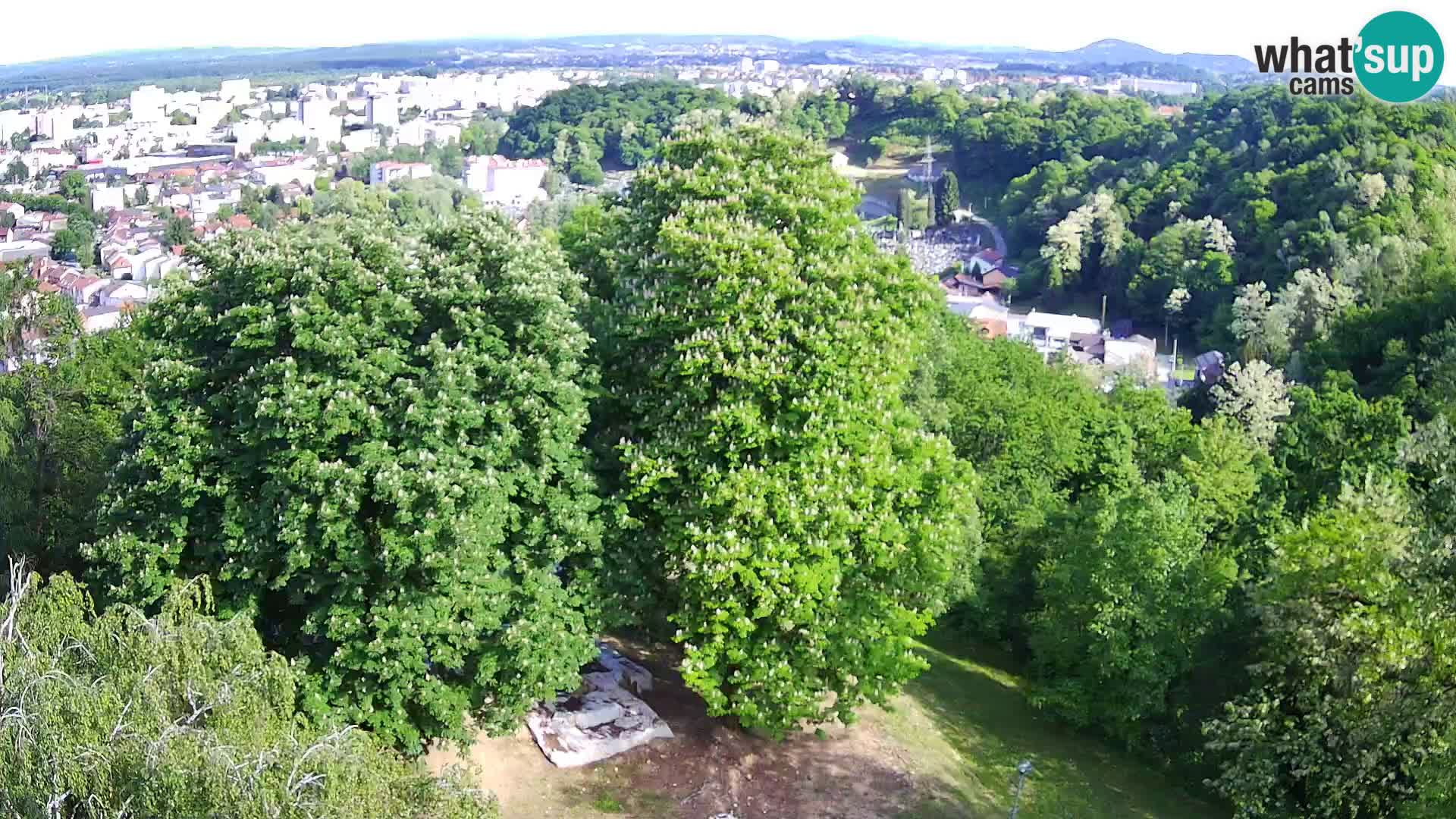 Webcam Karlovac Château Dubovac – Vue en direct de ce monument historique