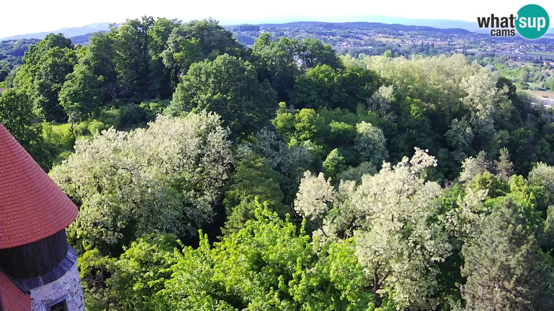 Web kamera Karlovac – Dvorac Dubovac uživo