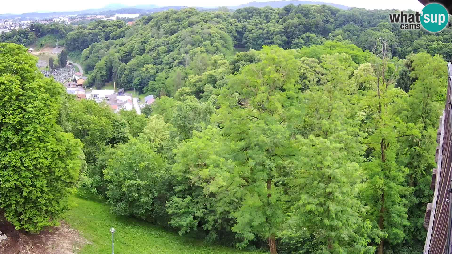 Web kamera Karlovac – Dvorac Dubovac uživo