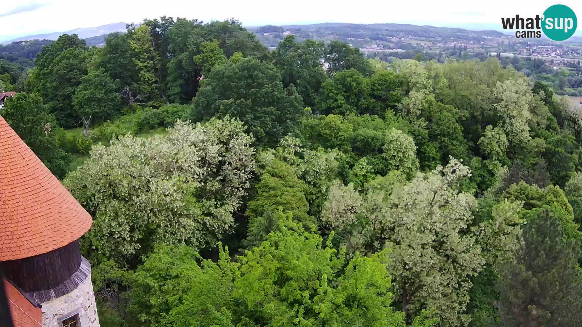 Web kamera Karlovac – Dvorac Dubovac uživo
