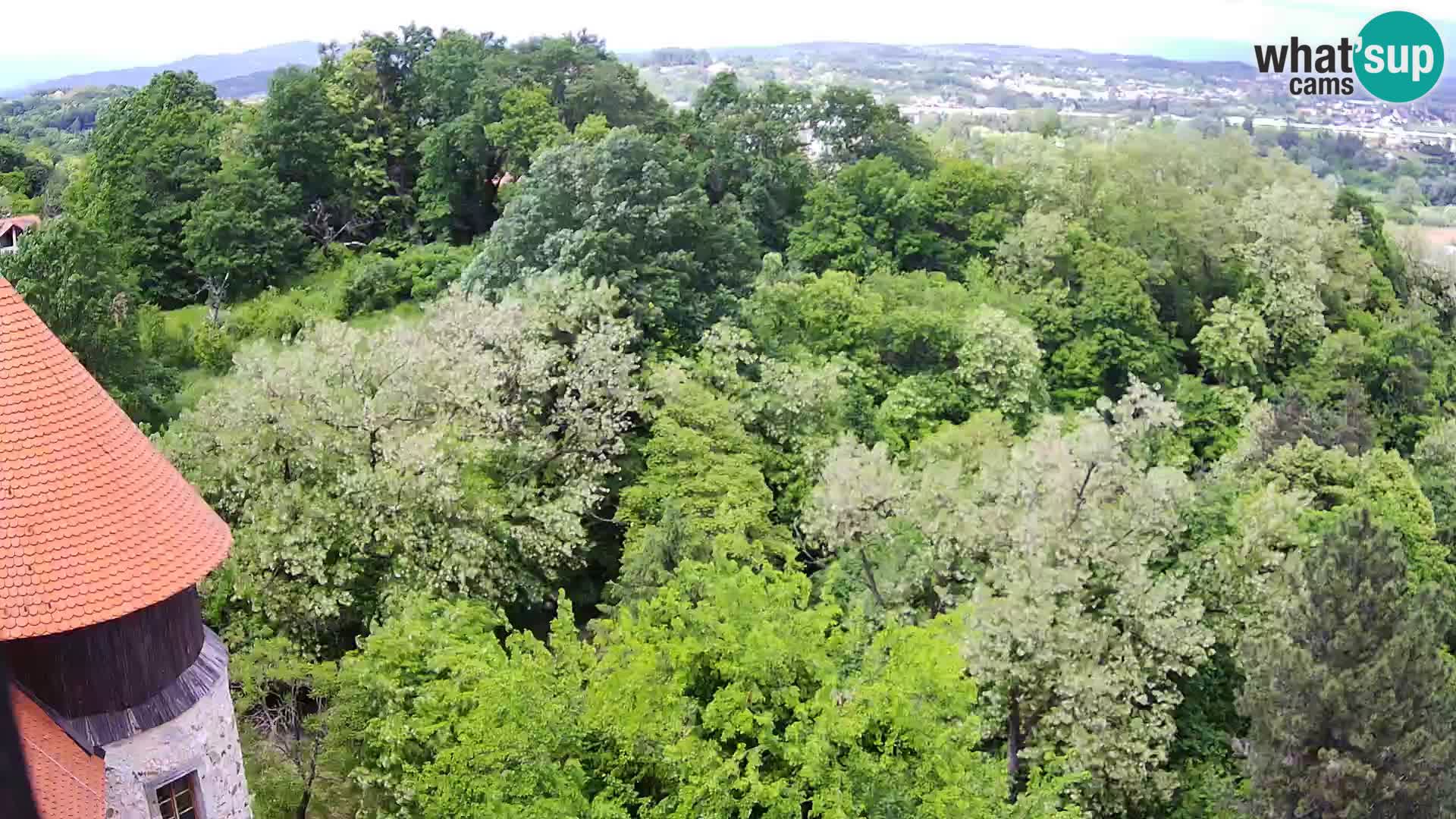 Web kamera Karlovac – Dvorac Dubovac uživo