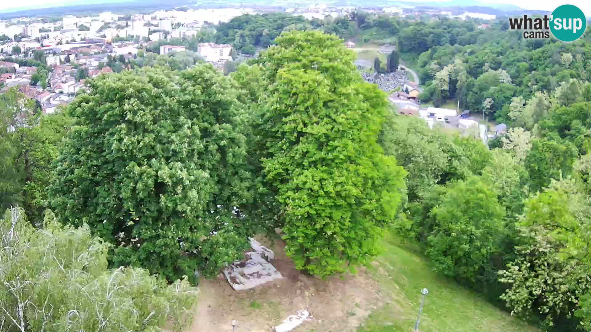 Webcam Karlstadt Burg Dubovac – Liveblick auf das historische Wahrzeichen