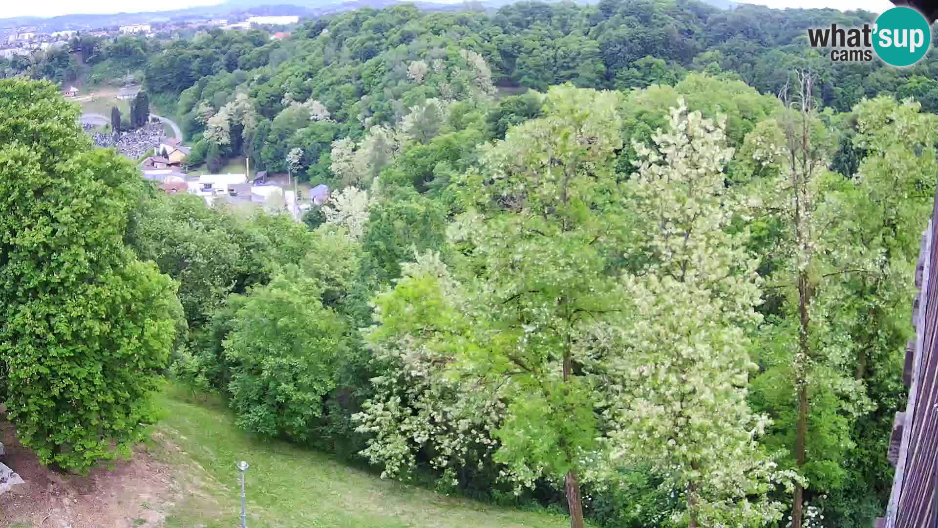 Spletna kamera Karlovac Dubovac grad – Pogled v živo na zgodovinsko znamenitost Karlovca