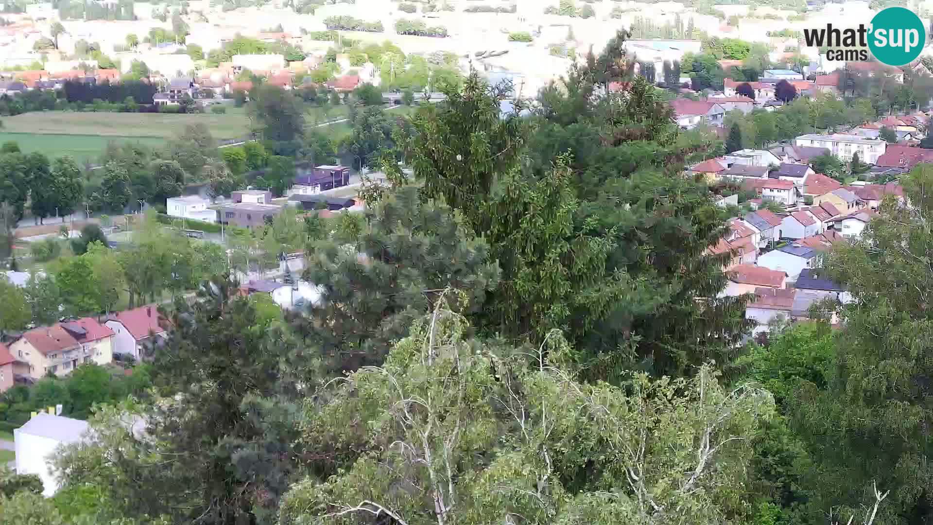 Webcam Karlovac Dubovac Castle – Live View of Karlovac’s Historic Landmark