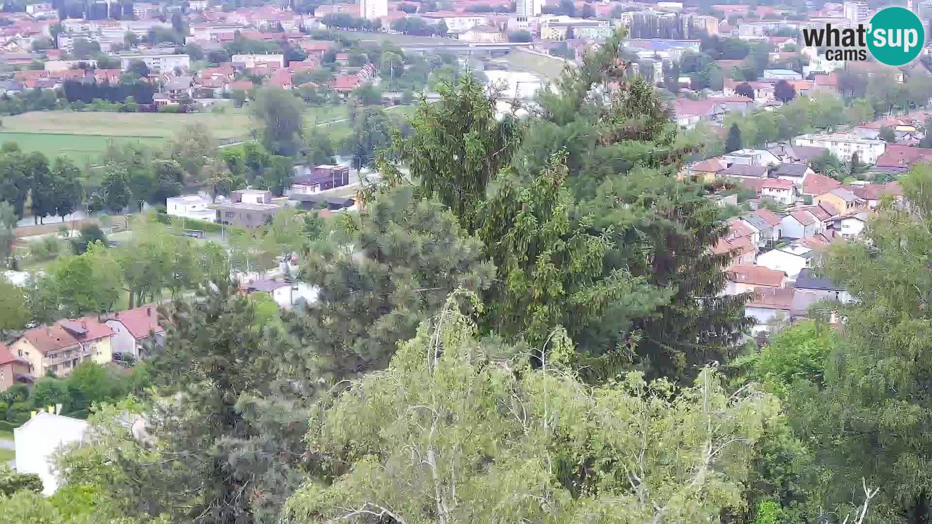 Webcam Castello Dubovac Karlovac – Vista Live sul Castello Storico