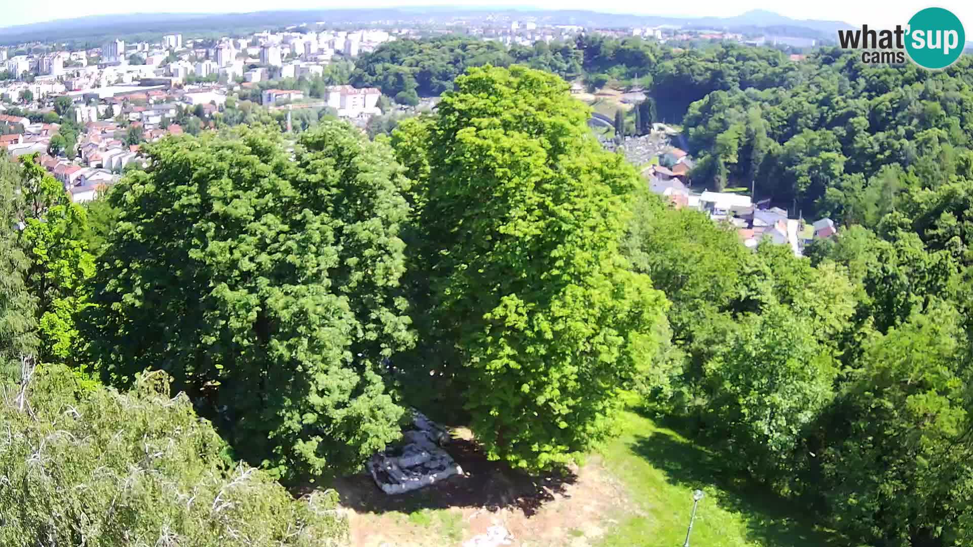 Web kamera Karlovac – Dvorac Dubovac uživo