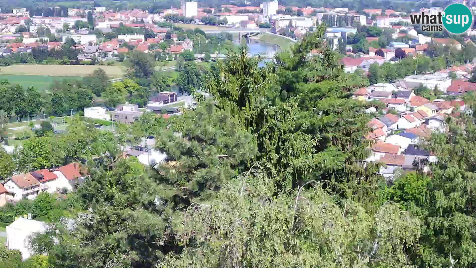 Webcam Karlstadt Burg Dubovac – Liveblick auf das historische Wahrzeichen