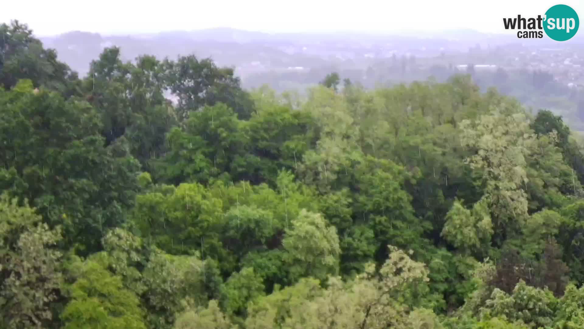 Webcam Karlovac Dubovac Castle – Live View of Karlovac’s Historic Landmark