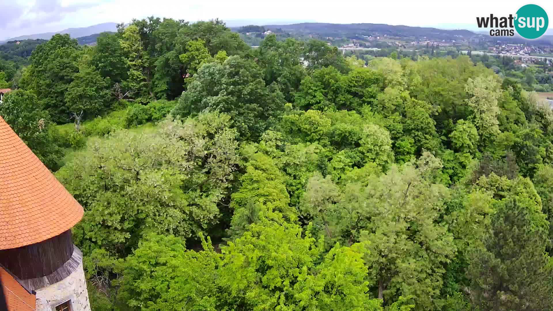 Webcam Castello Dubovac Karlovac – Vista Live sul Castello Storico