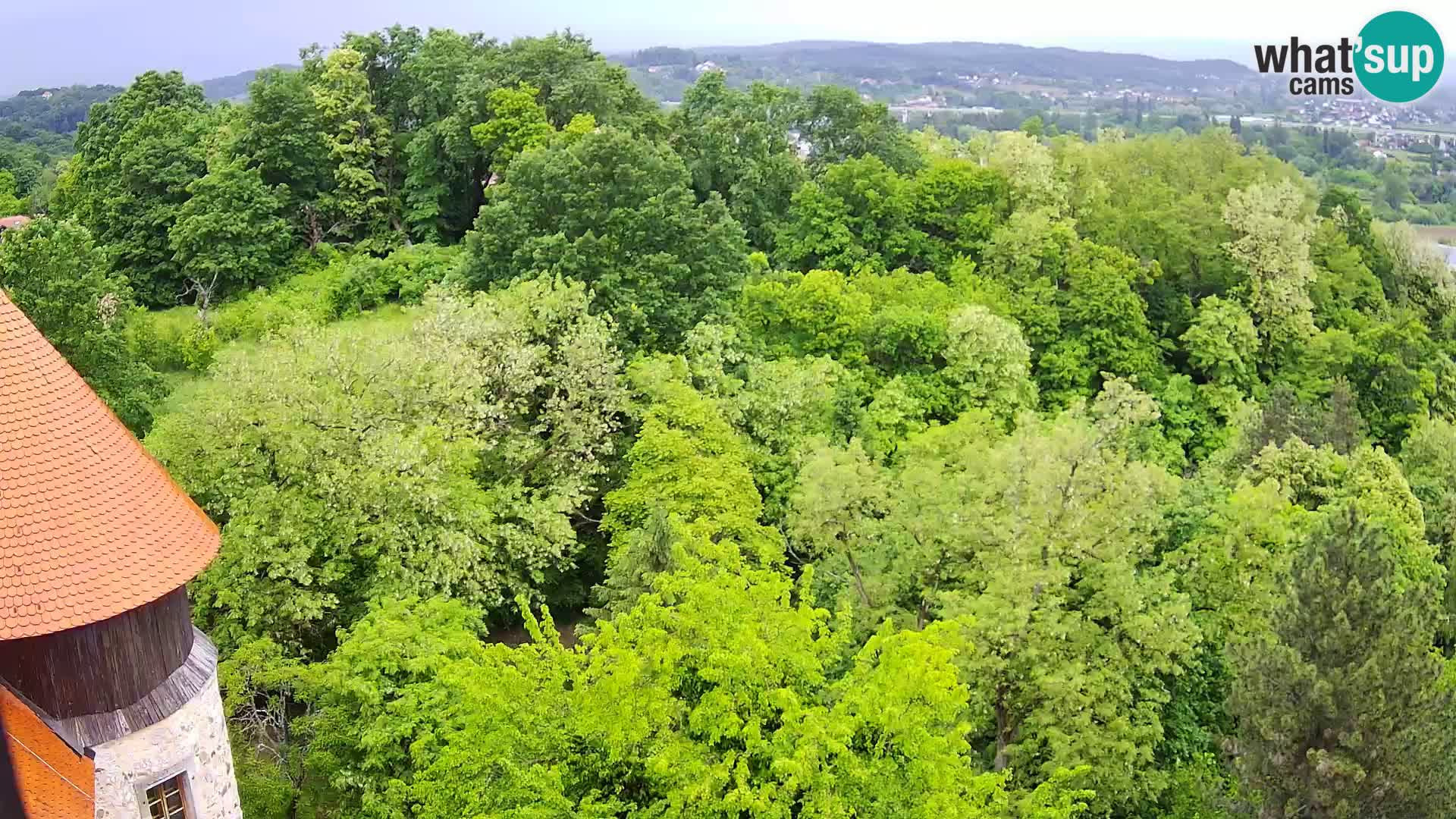 Webcam Karlovac Château Dubovac – Vue en direct de ce monument historique