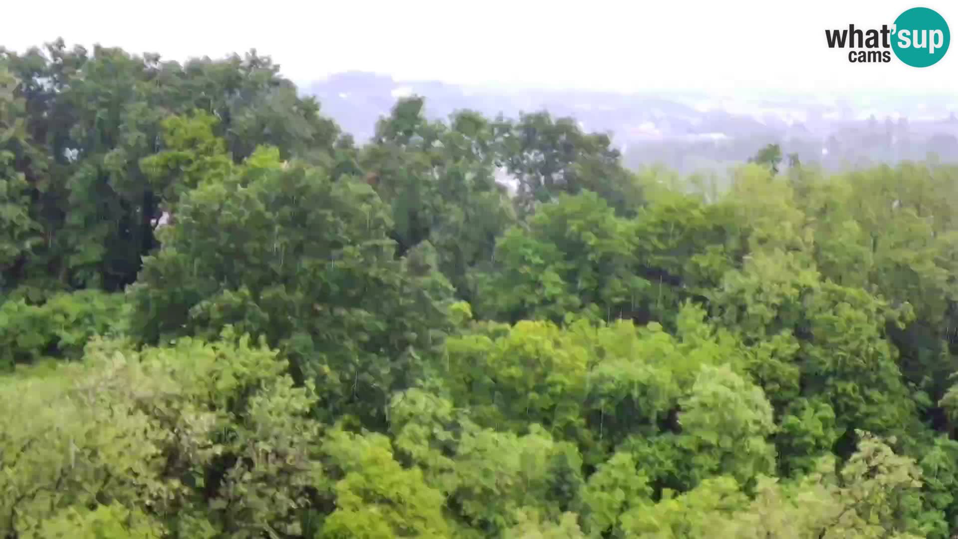 Webcam Karlovac Château Dubovac – Vue en direct de ce monument historique