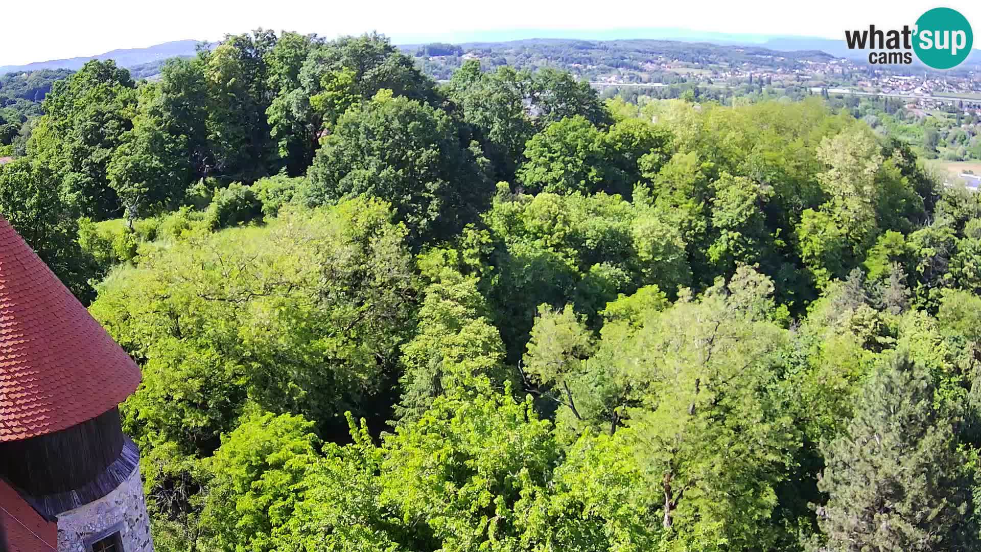 Webcam Karlstadt Burg Dubovac – Liveblick auf das historische Wahrzeichen