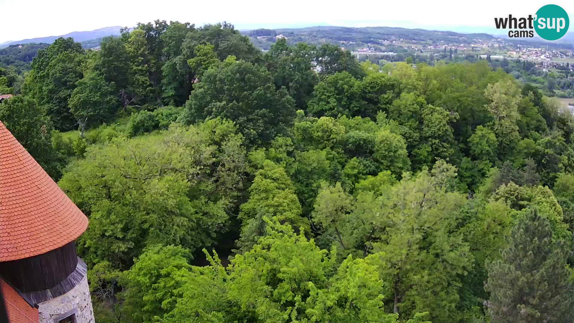 Webcam Karlovac Château Dubovac – Vue en direct de ce monument historique