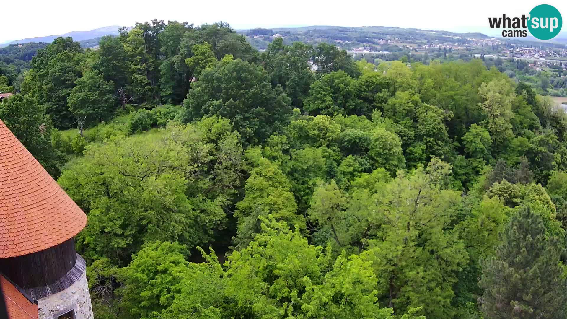 Webcam Karlstadt Burg Dubovac – Liveblick auf das historische Wahrzeichen